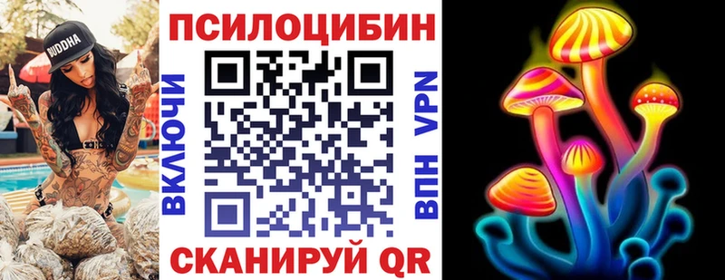 Псилоцибиновые грибы Psilocybine cubensis  Купить где  Билибино 